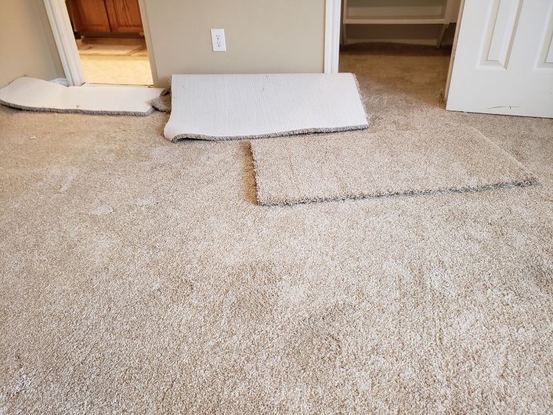 Carpet Cushion Replacement in Alpharetta, GA