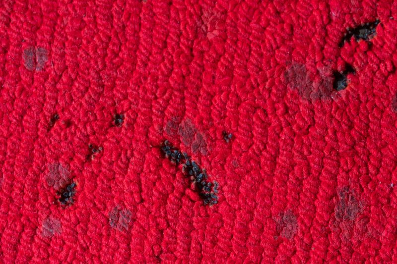 Common Types of Carpet Damage